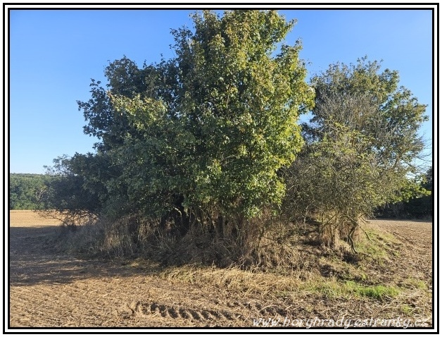 Lehké_opevnění_vz.37_5-2083-D2__01