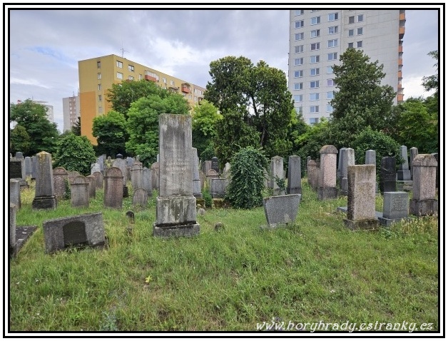 Komárno_židovský_hřbitov