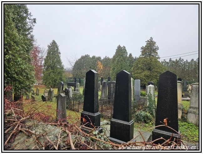 Dobruška_židovský_hřbitov__02