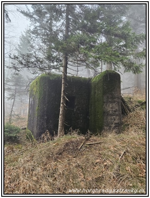 Lehké_opevnění_vz.37_X-11-A-180__02