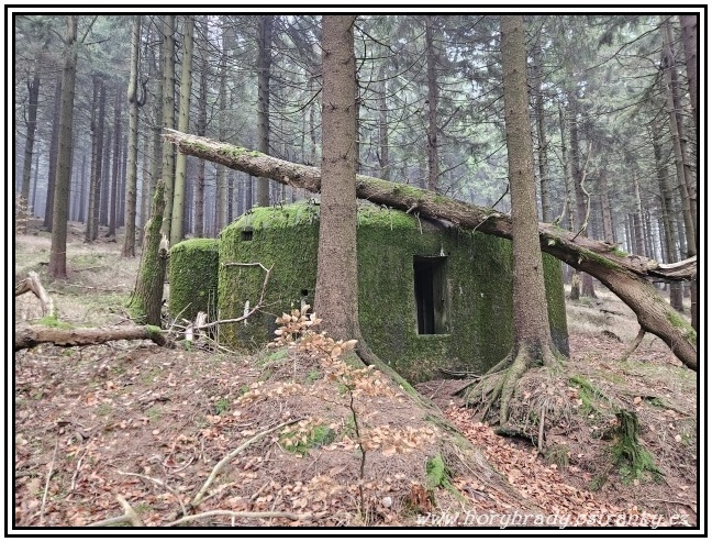 Lehké_opevnění_vz.37_X-17-A-160__01