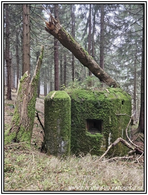 Lehké_opevnění_vz.37_X-17-A-160__02