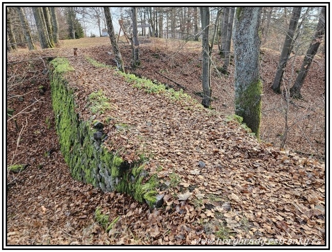 Třemšín_zřícenina_hradu__01