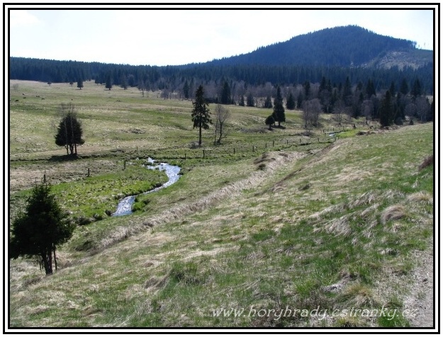 Hamerský_potok_2008