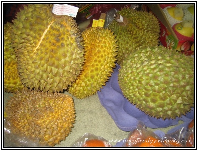 Durian__01
