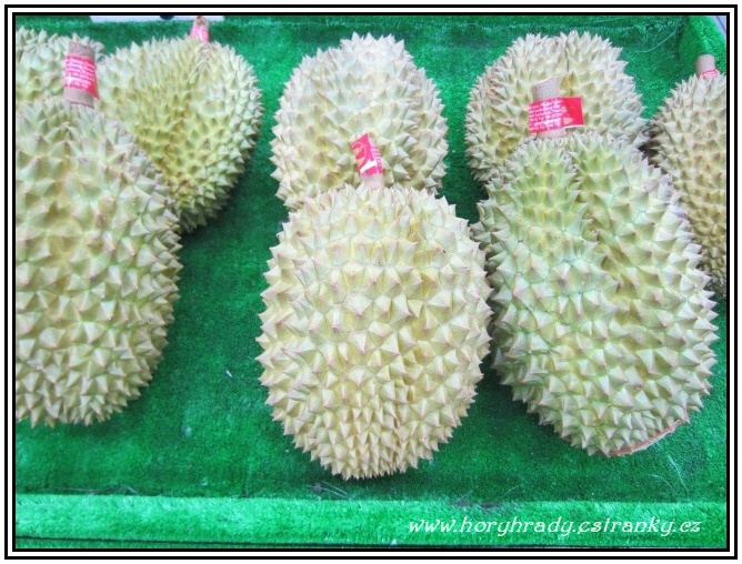 Durian__02