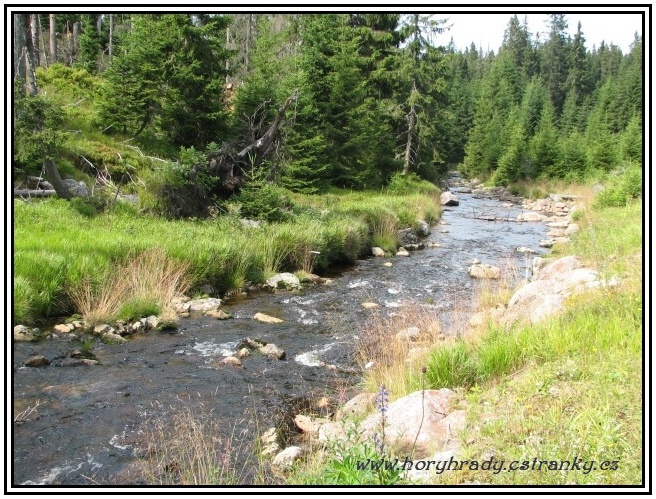 Modrava_Modravský_potok_2011__01