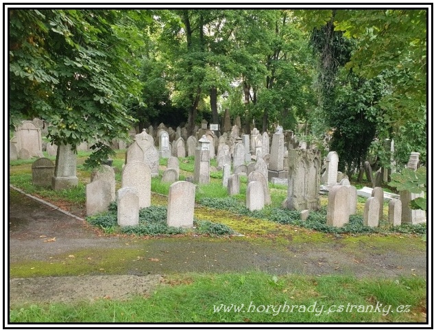 Praha_židovský_hřbitov_starý__01 (Žižkov)