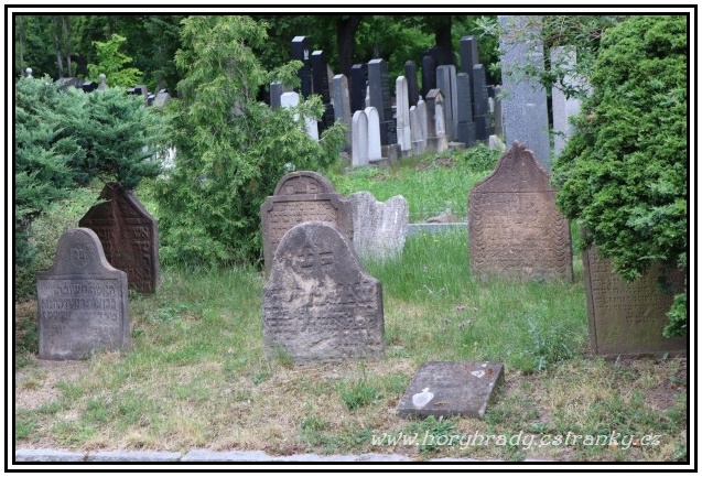 Praha_židovský_hřbitov_nový (Žižkov)